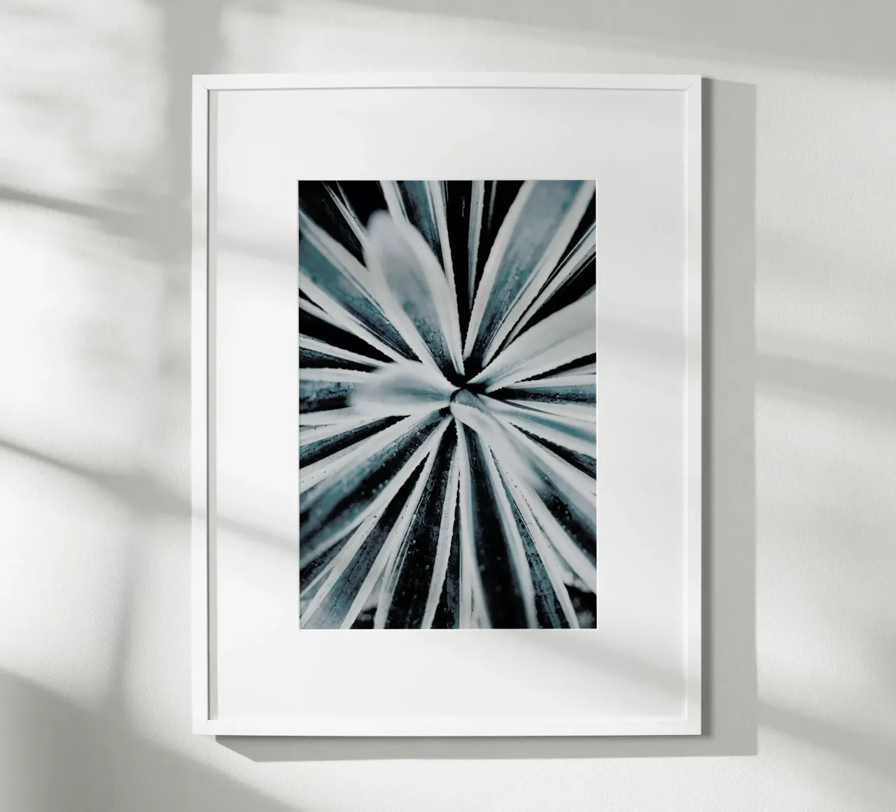 Aerial Forms Poster von Flora & Fauna