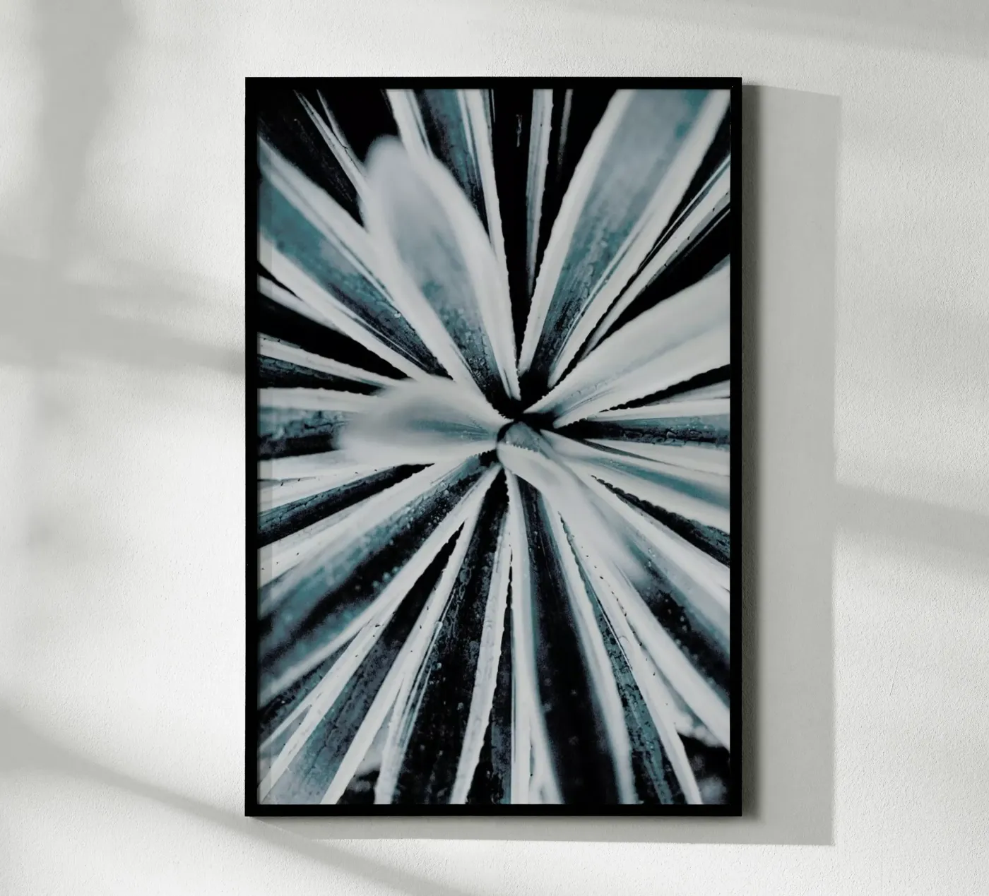 Aerial Forms poster de Flora & Fauna