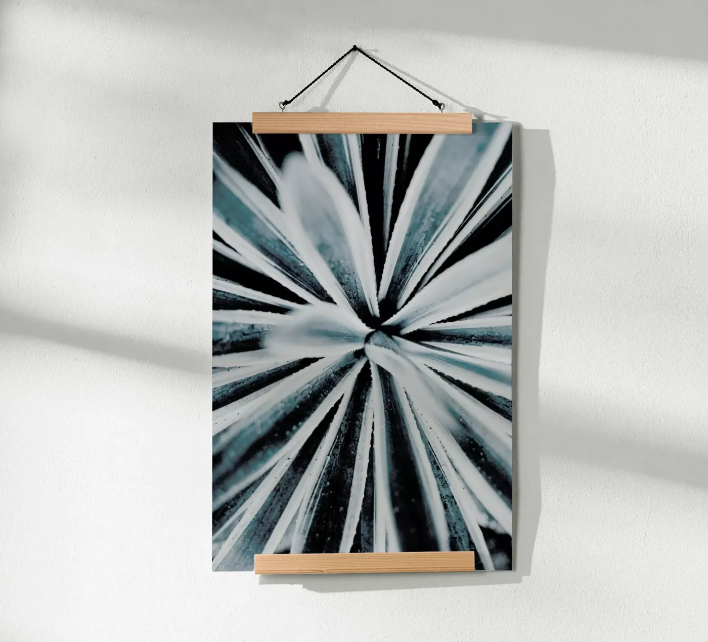 Aerial Forms poster de Flora & Fauna