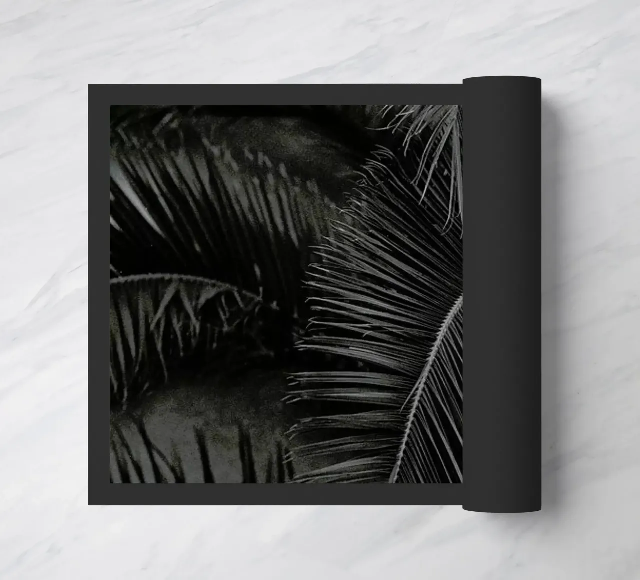 Palm zerbino da Picture On The Fridge