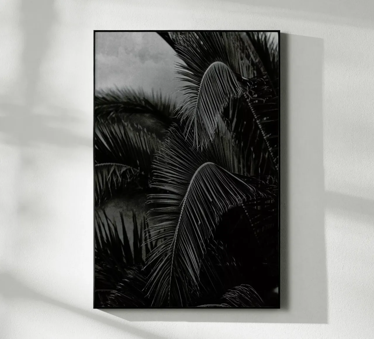 Palm plexiglass da Picture On The Fridge