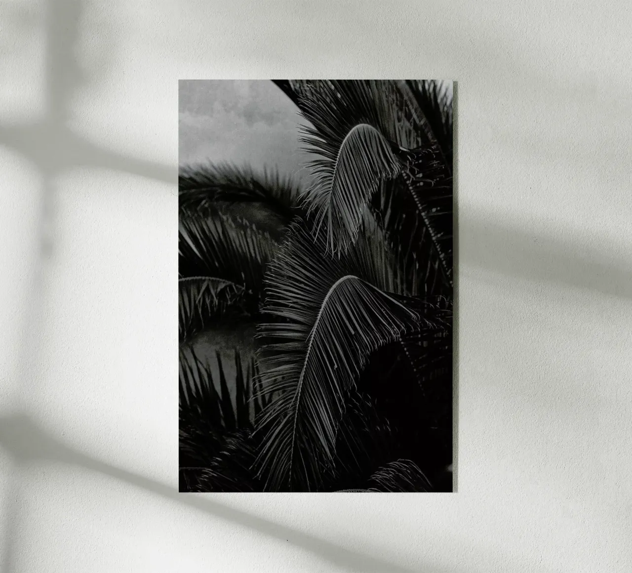 Palm plexiglass da Picture On The Fridge