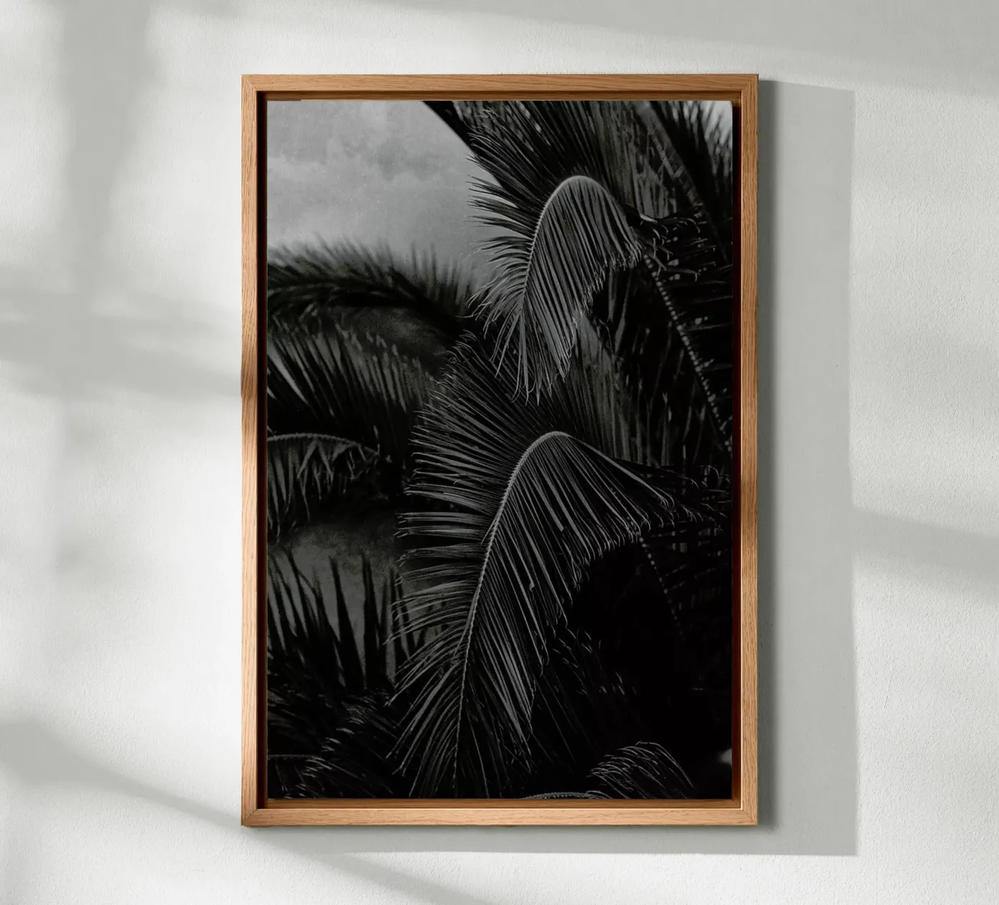 Palm alluminio dibond da Picture On The Fridge