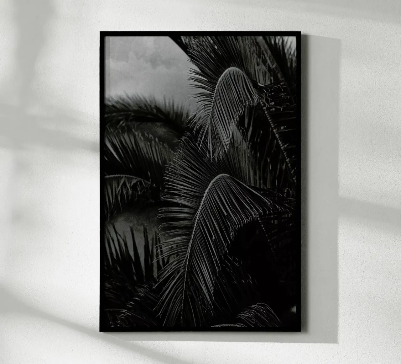 Palm poster da Picture On The Fridge