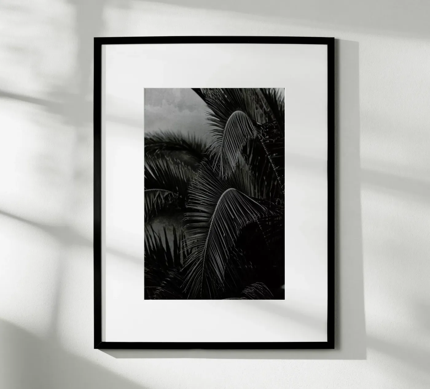 Palm poster by Picture On The Fridge