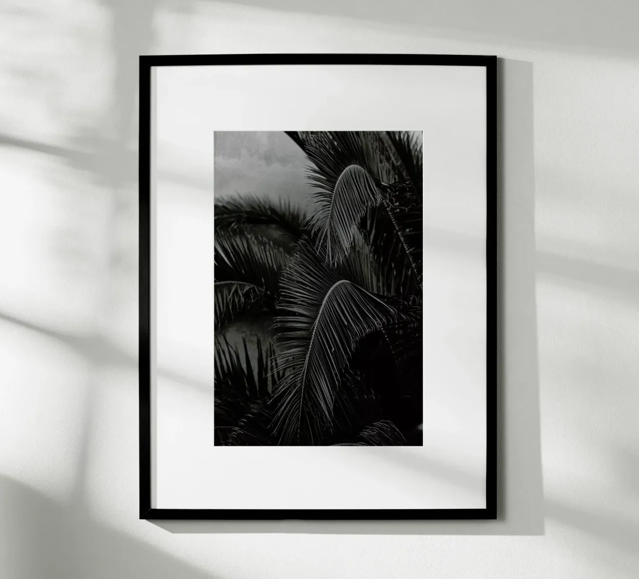 Palm poster da Picture On The Fridge