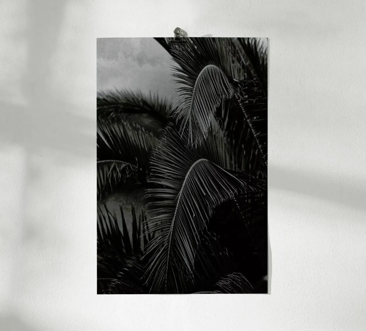 Palm poster da Picture On The Fridge