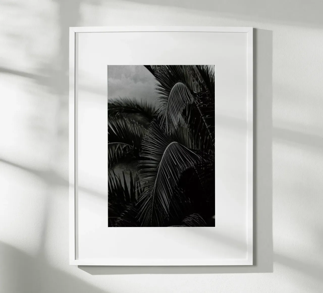 Palm poster da Picture On The Fridge