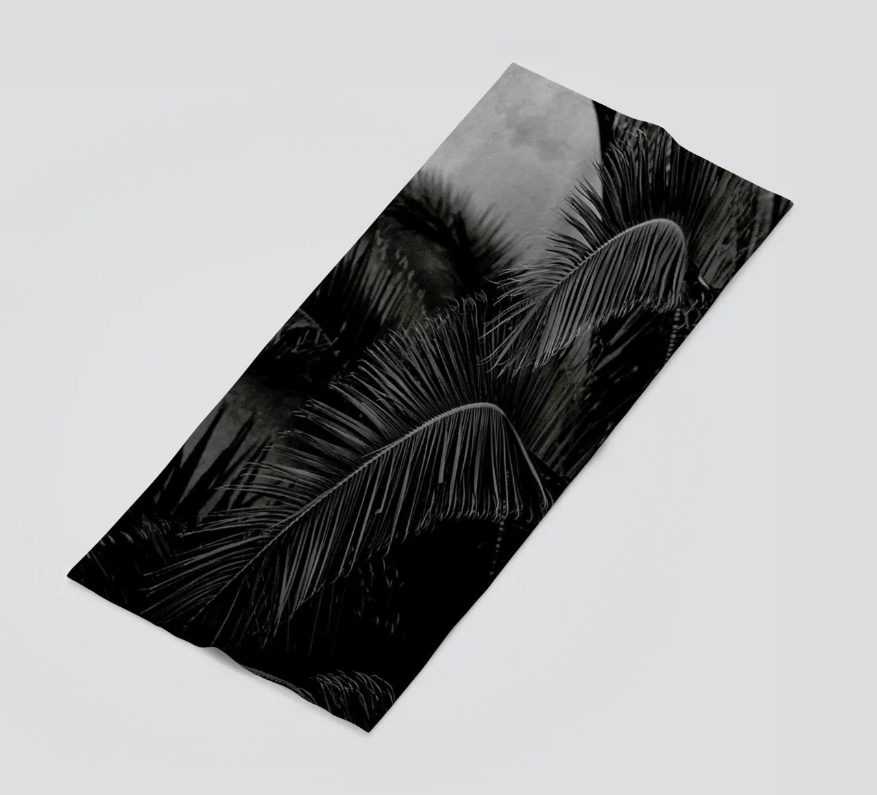 Palm telo mare da Picture On The Fridge