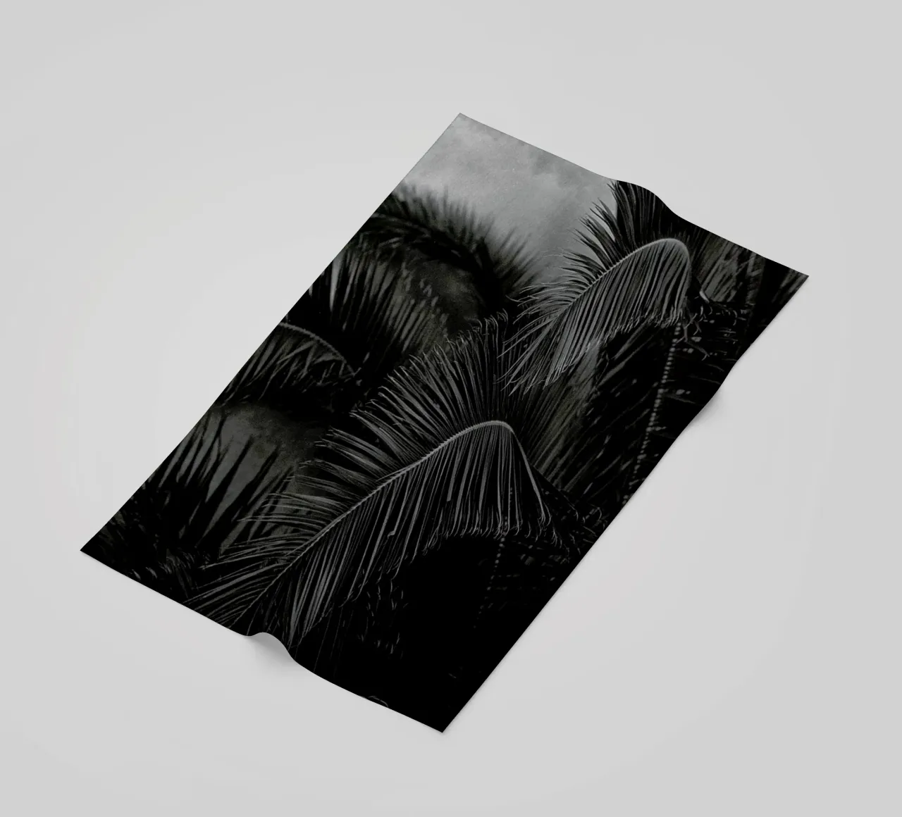 Palm telo mare da Picture On The Fridge