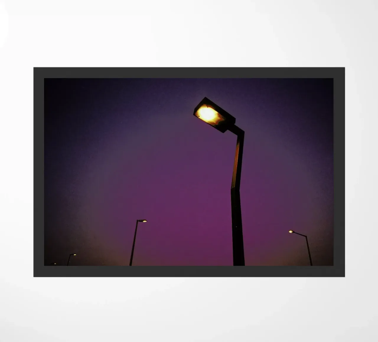 Nightdrive zerbino da Picture On The Fridge