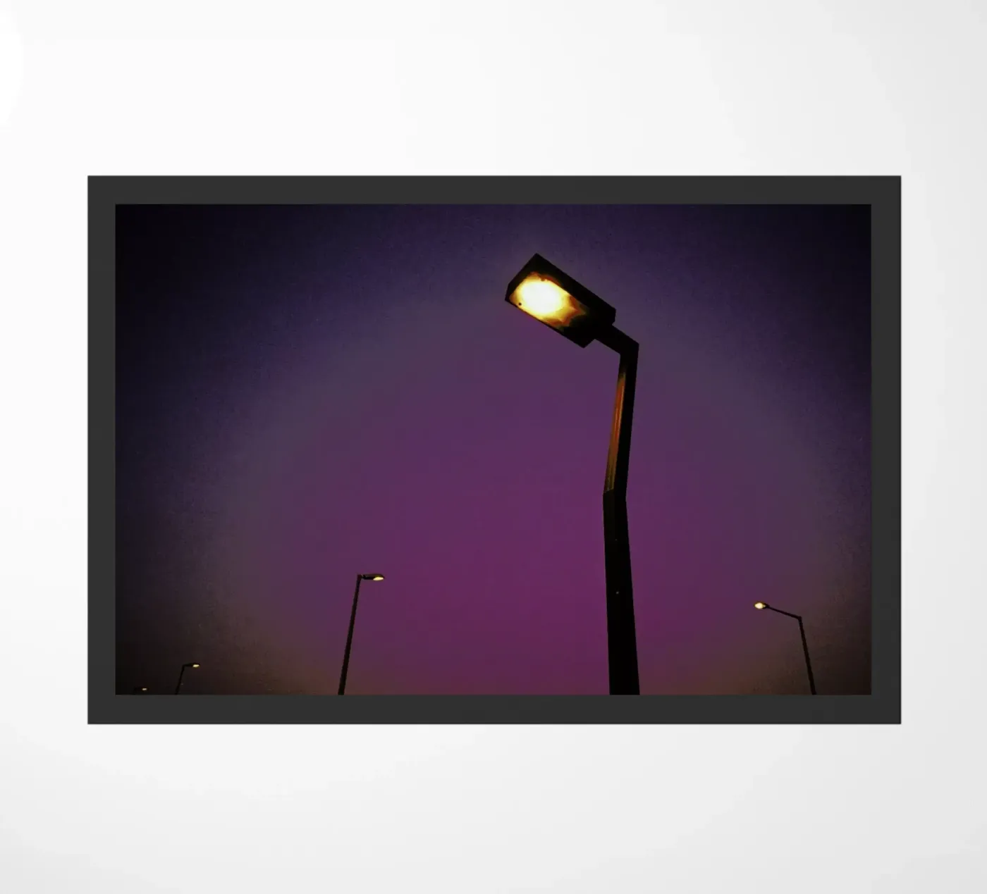 Nightdrive zerbino da Picture On The Fridge