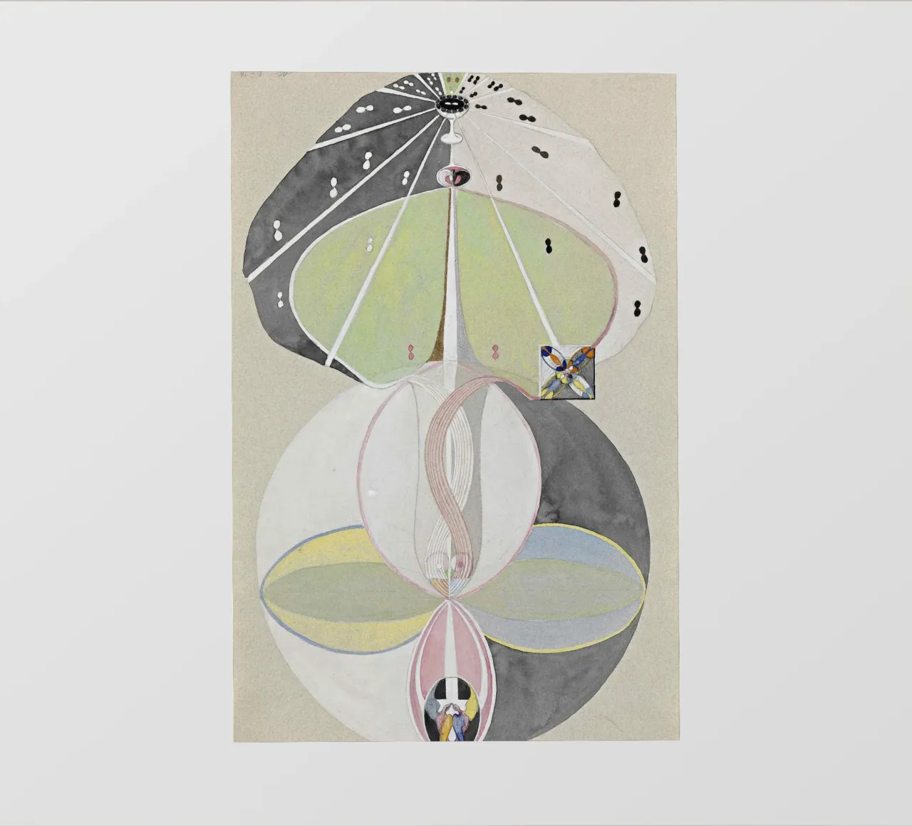L'albero della conoscenza n. 5 di Hilma af Klint - Abstract Mysticis pellicola backlit da NorwesClub