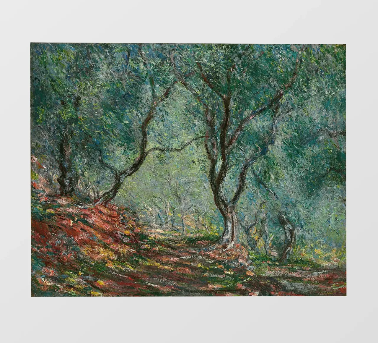 Claude Monet - Oliveto nel giardino di Moreno (1884) pellicola backlit da Wirla