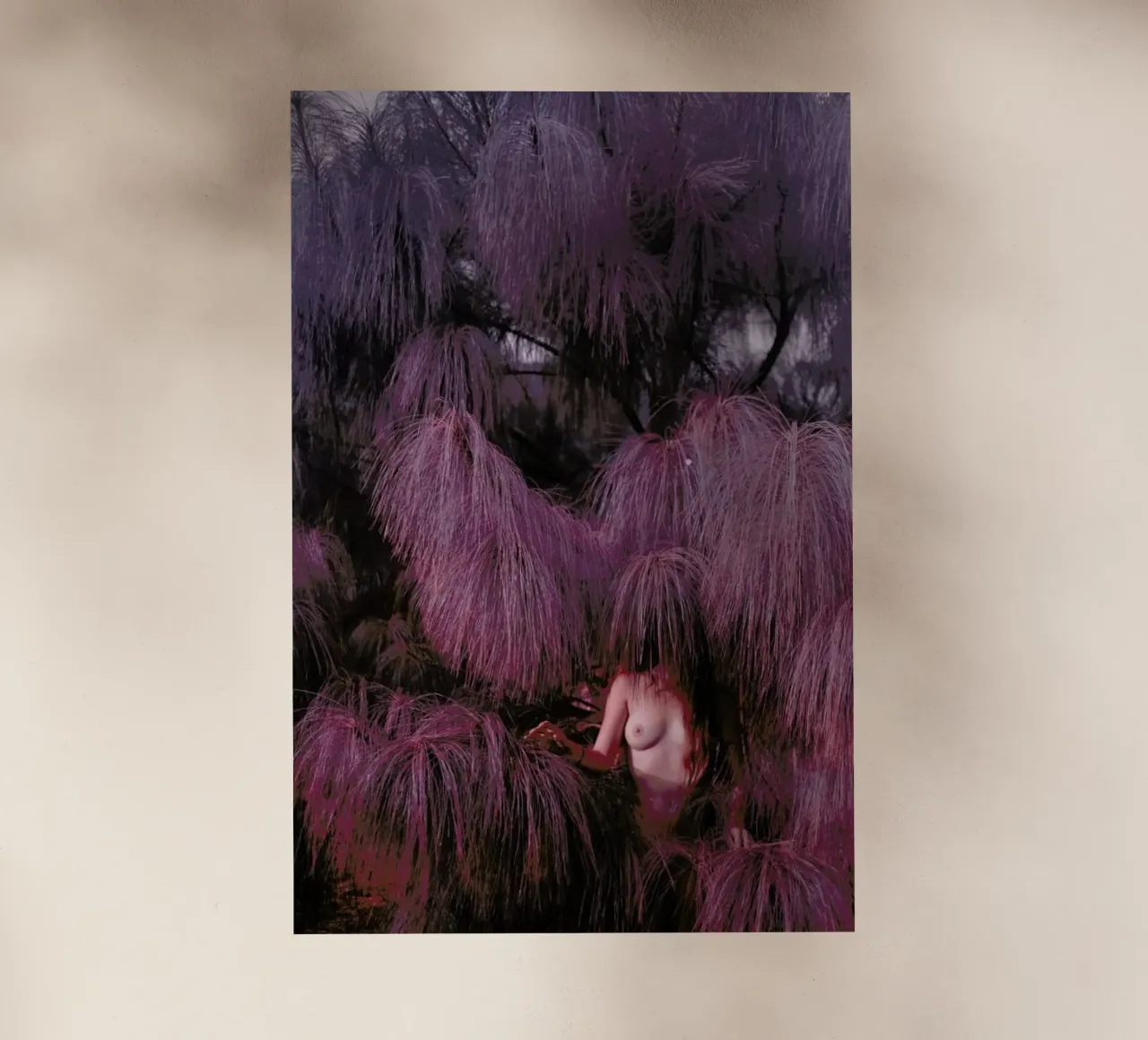 HARDEST SOFT 1 pellicola backlit da Ana Topoleanu