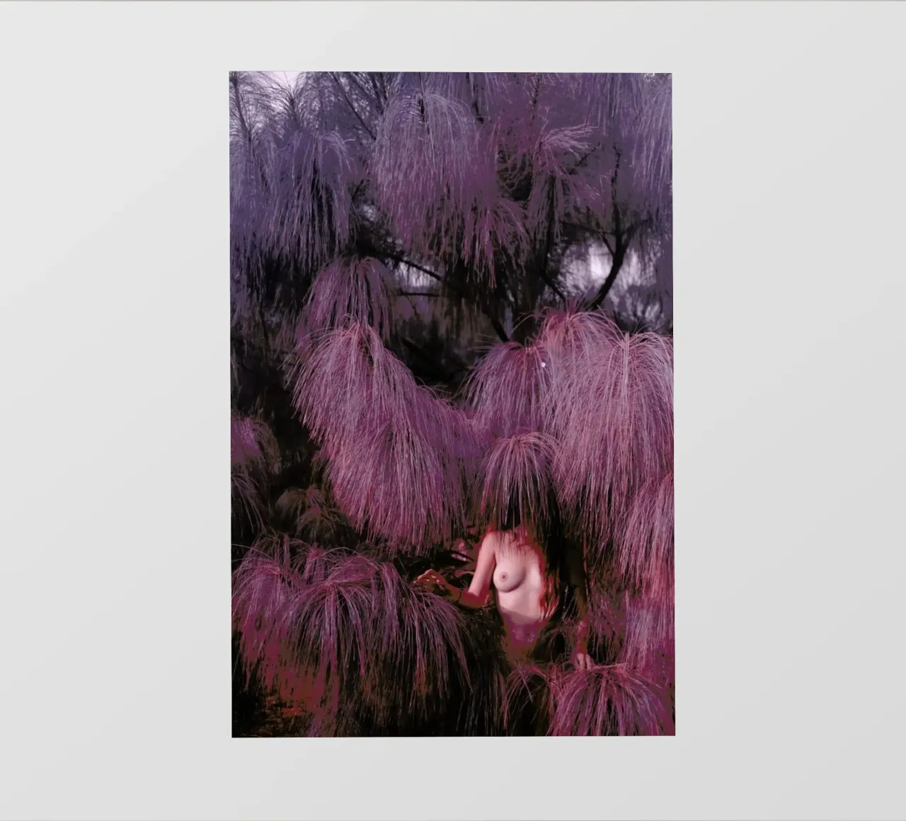 HARDEST SOFT 1 pellicola backlit da Ana Topoleanu