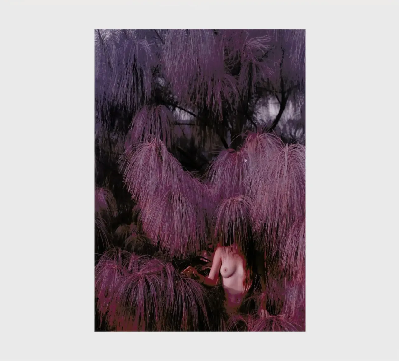 HARDEST SOFT 1 notebook by Ana Topoleanu