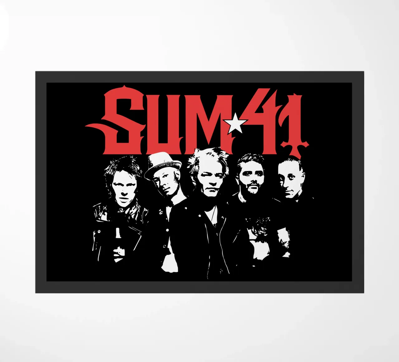 Sum 41 Contrast Portrait zerbino da lindacleveland