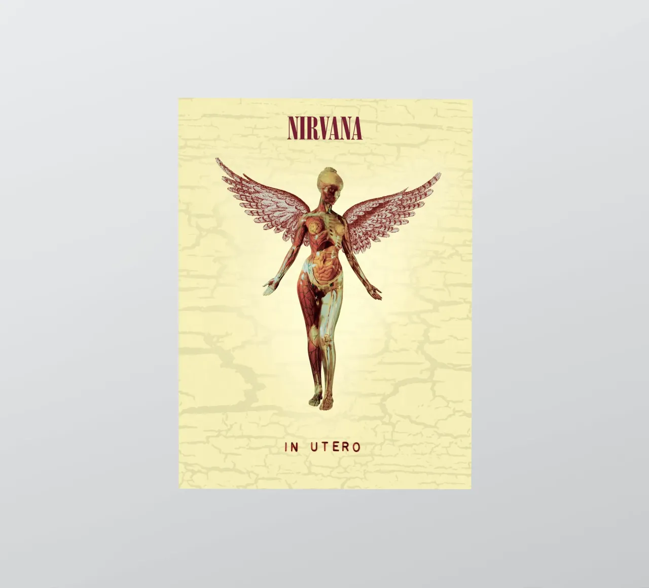 Nirvana In Utero Engel Anatomie Sticker von Has Fab
