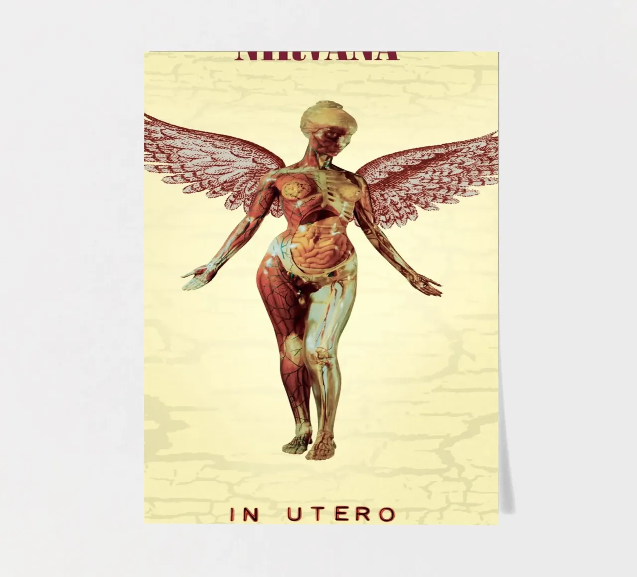 Nirvana In Utero Engel Anatomie Stickerbogen von Has Fab