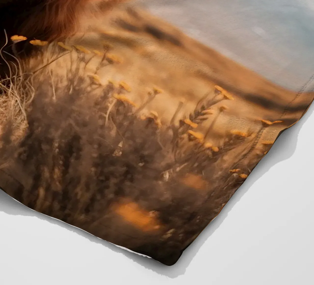 Highlander scozzese coperta in pile da Imagine
