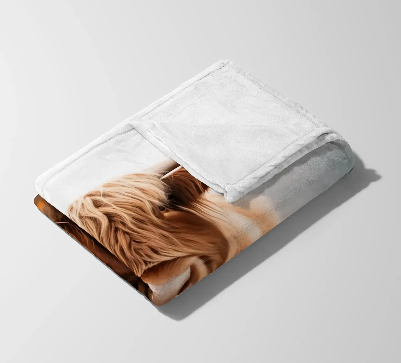 Highlander scozzese coperta in pile da Imagine