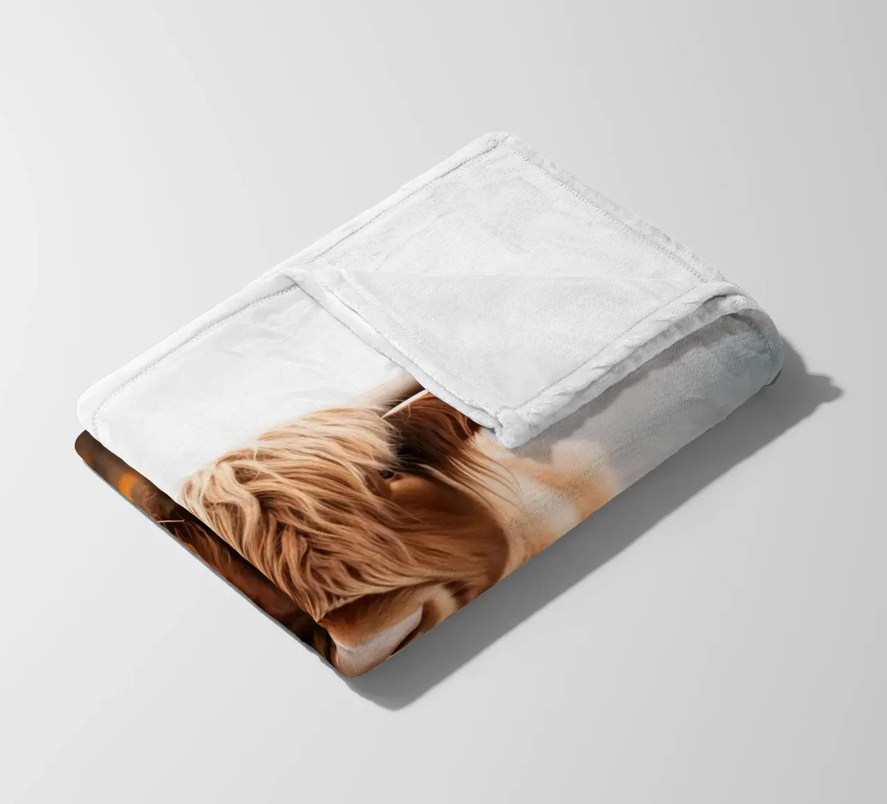 Highlander scozzese coperta in pile da Imagine