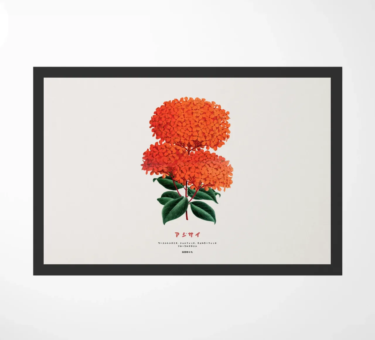 Fiori di ortensie giapponesi zerbino da Vintagrafica