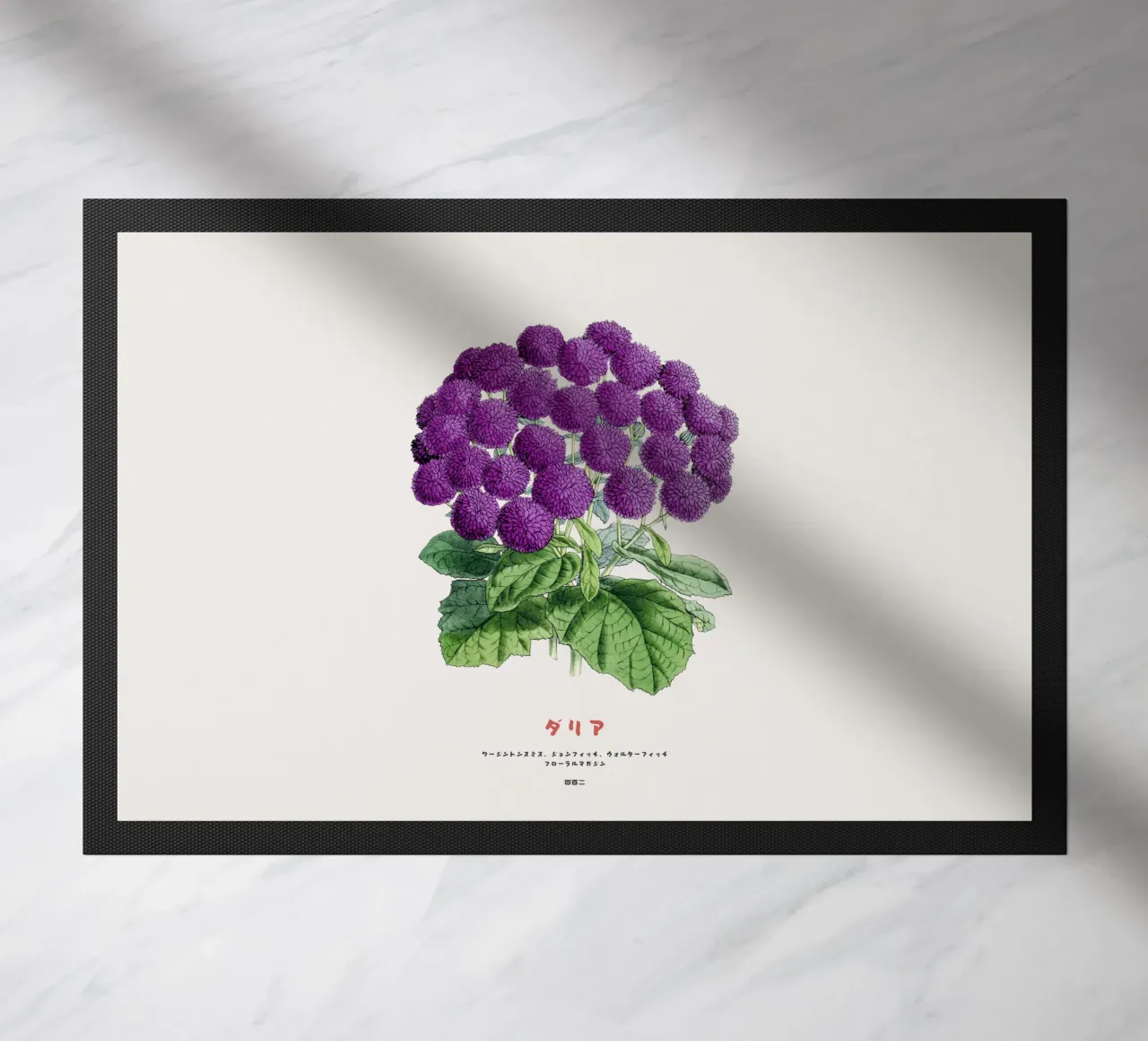 Un mazzo di fiori di dalia zerbino da Vintagrafica