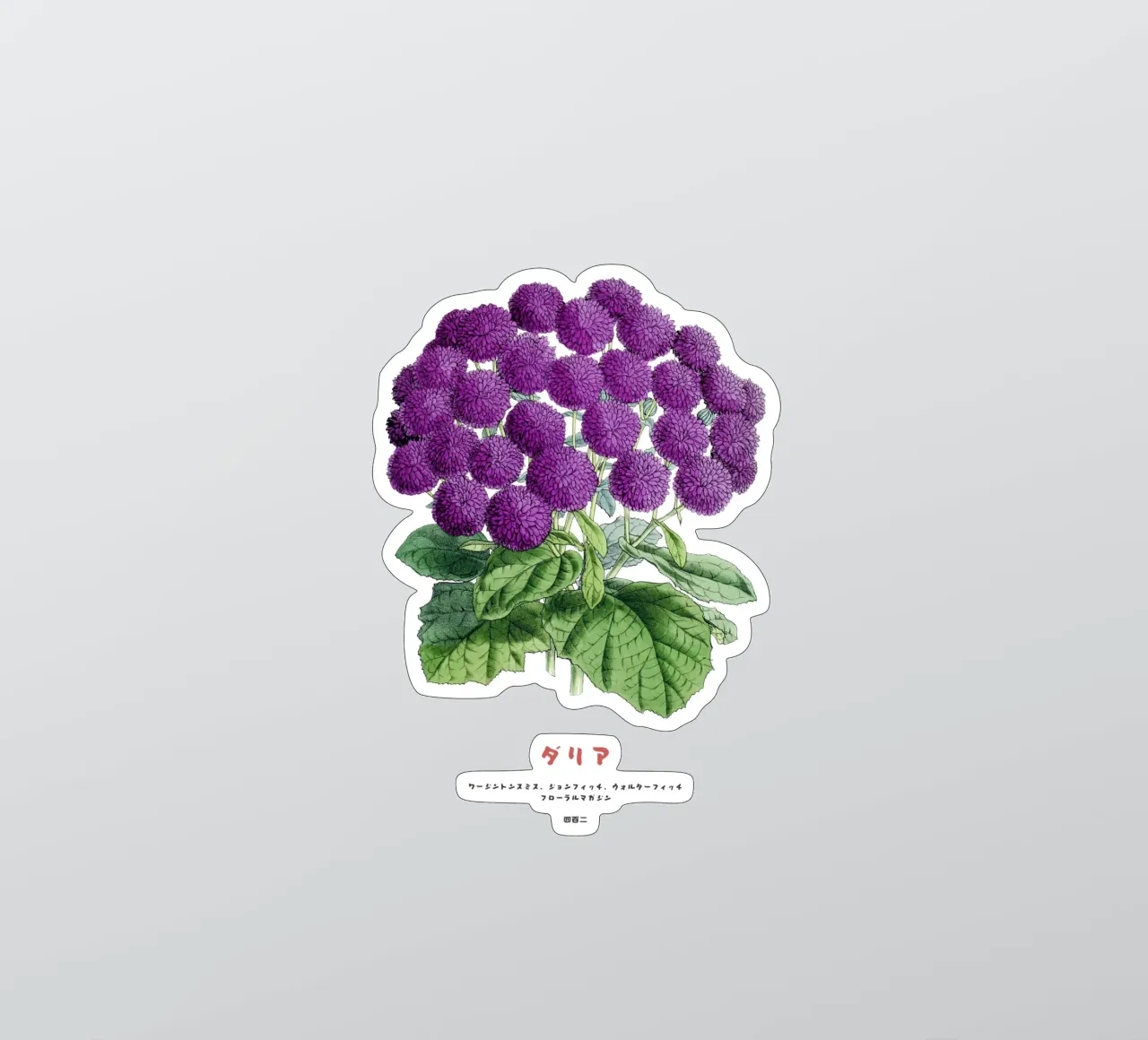 A Bunch of Dahlia Flowers sticker by Vintagrafica
