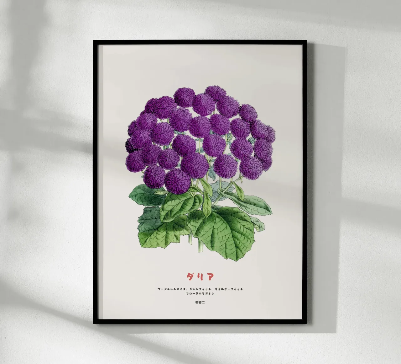 Un mazzo di fiori di dalia carta hahnemühle da Vintagrafica