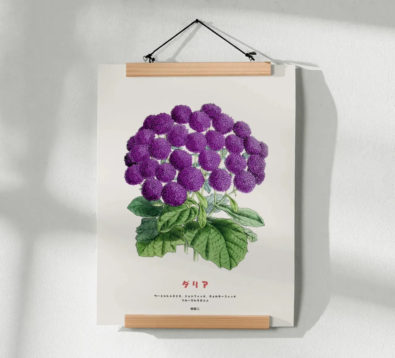 Un mazzo di fiori di dalia carta hahnemühle da Vintagrafica