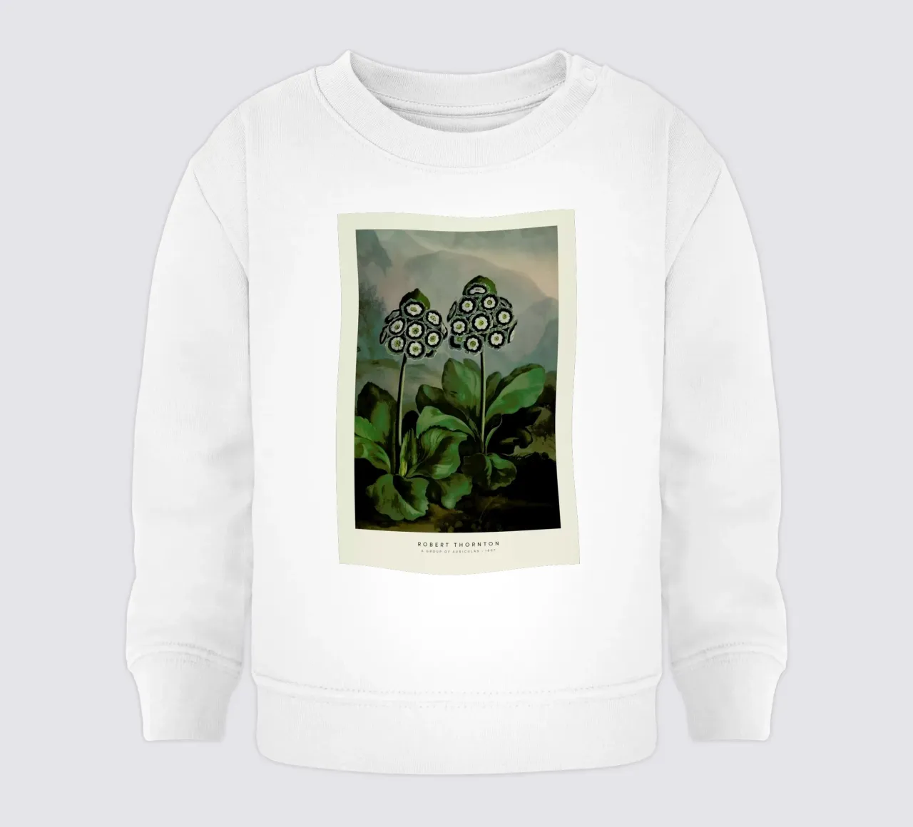 Thornton - A Group of Auriculas felpa neonato da Vintage by JUNIQE