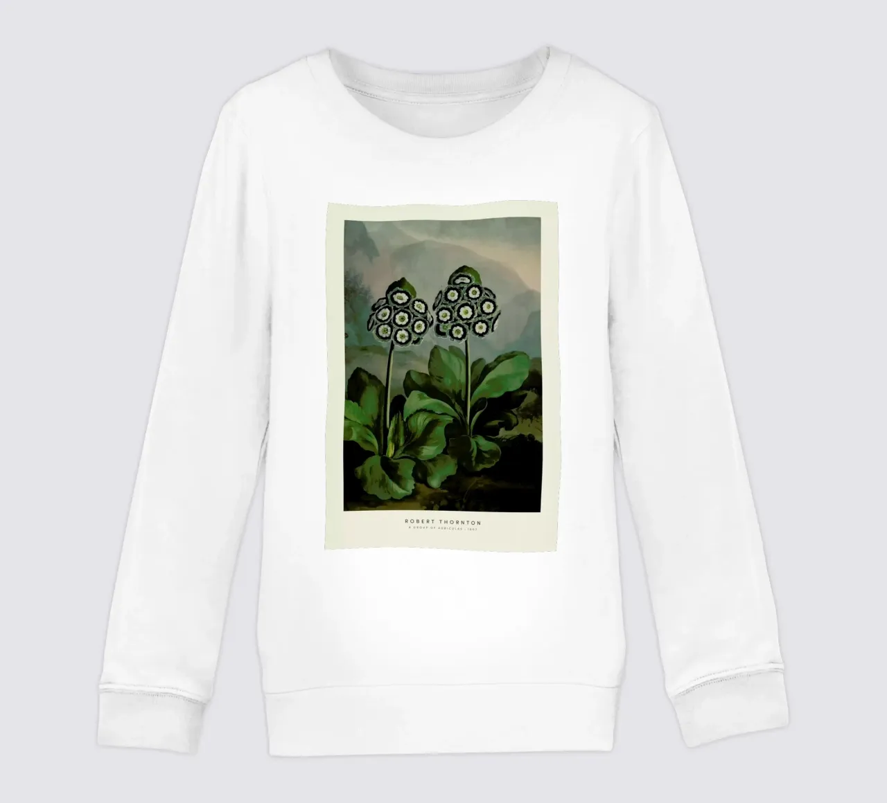Thornton - A Group of Auriculas felpa bambino da Vintage by JUNIQE