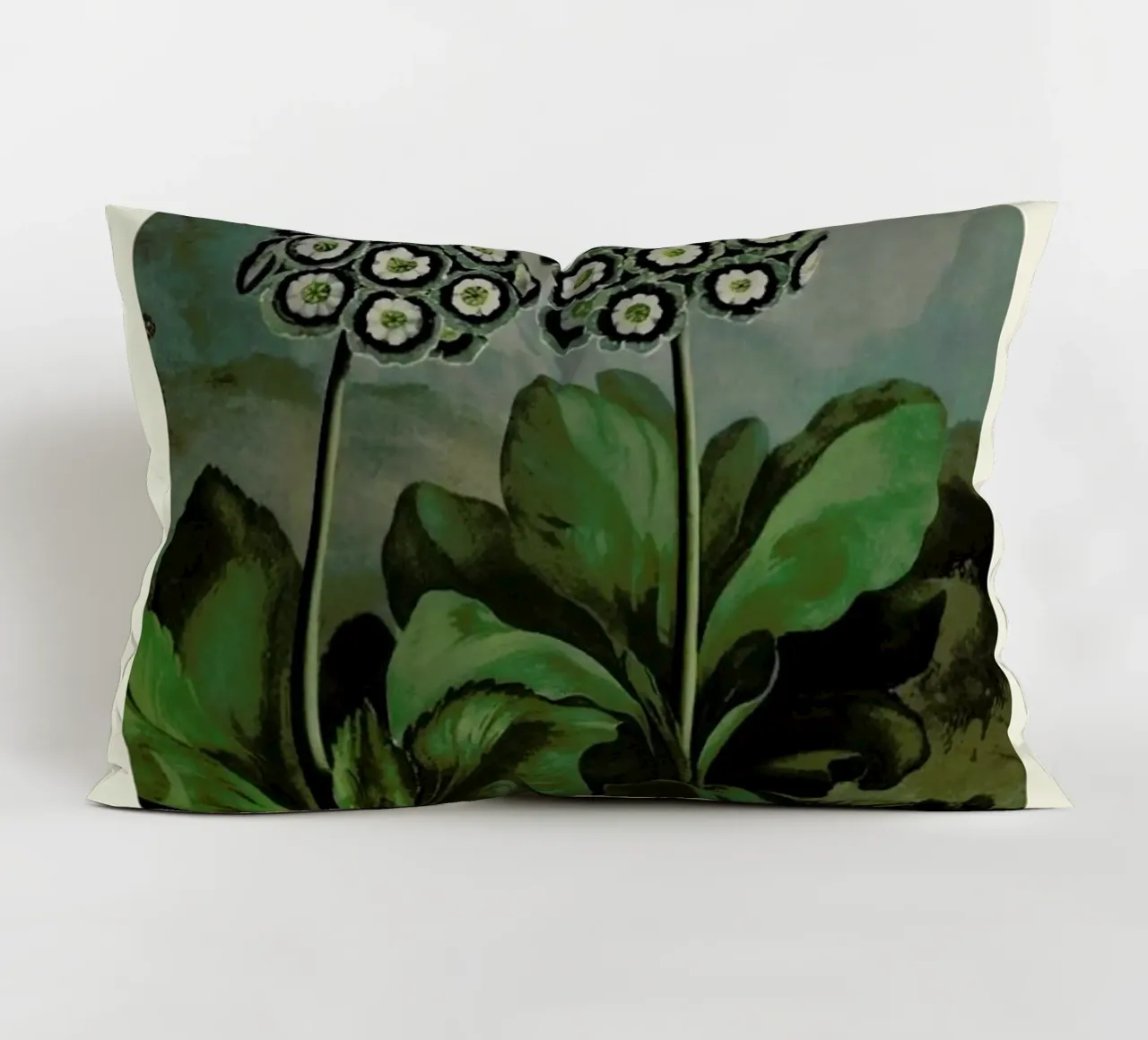Thornton - A Group of Auriculas cuscino da Vintage by JUNIQE