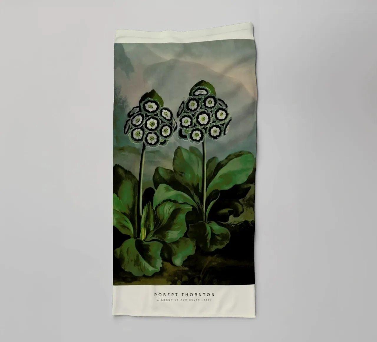 Thornton - A Group of Auriculas asciugamano da bagno da Vintage by JUNIQE