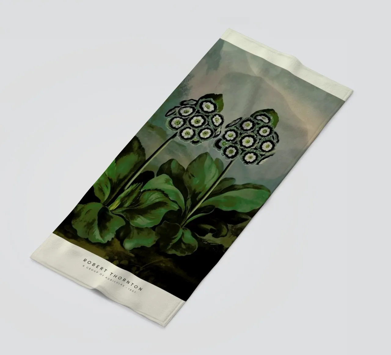 Thornton - A Group of Auriculas telo mare da Vintage by JUNIQE