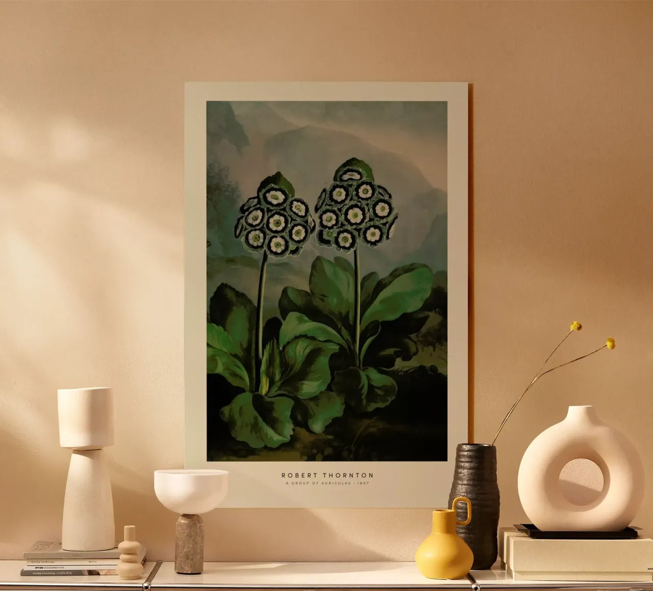 Thornton - A Group of Auriculas plexiglass da Vintage by JUNIQE