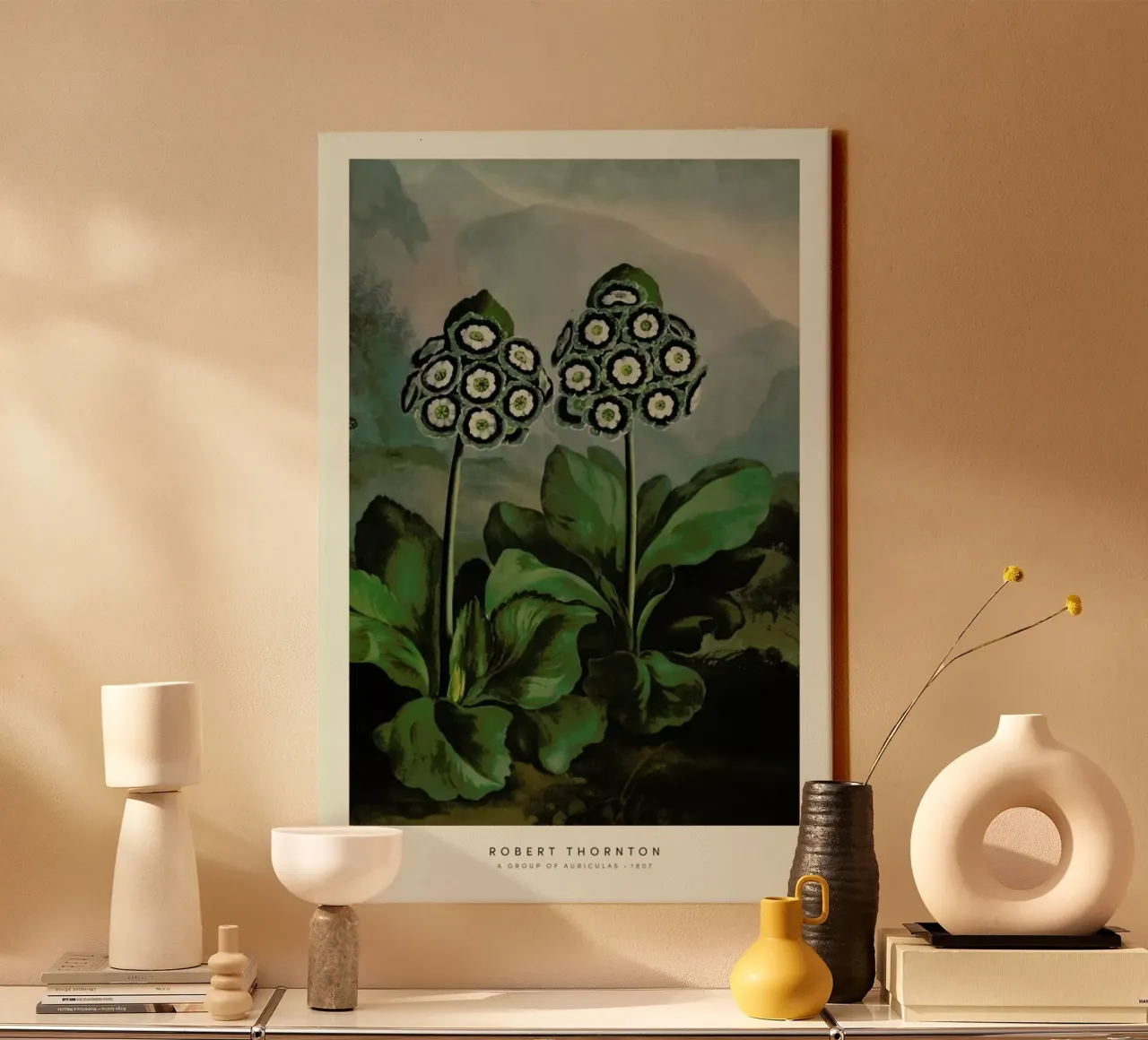 Thornton - A Group of Auriculas tela da Vintage by JUNIQE