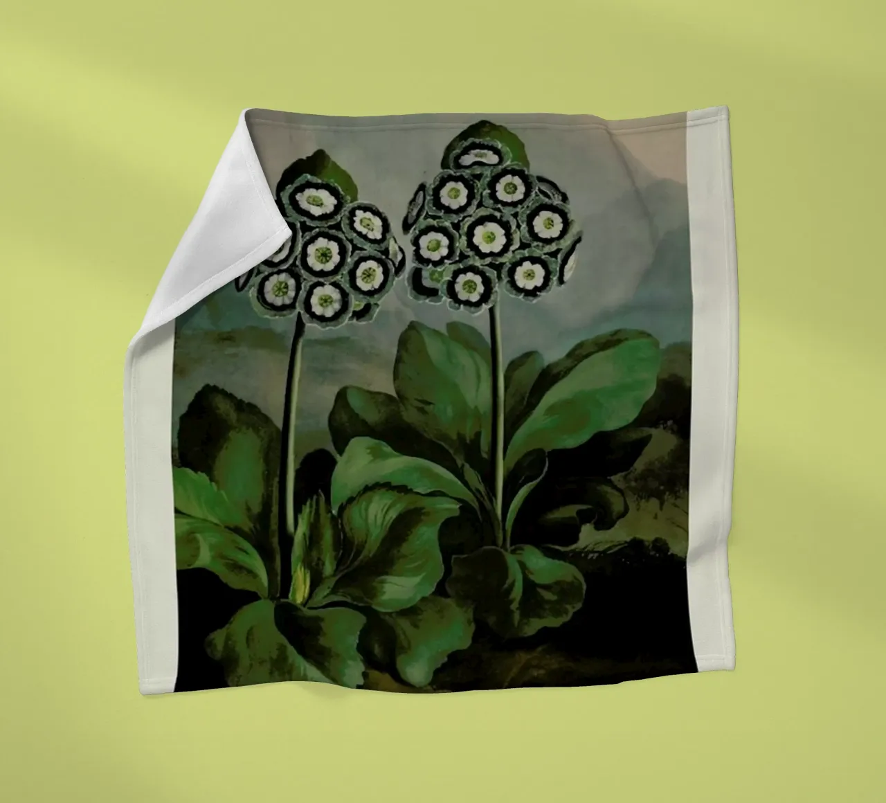 Thornton - A Group of Auriculas coperta in pile da Vintage by JUNIQE