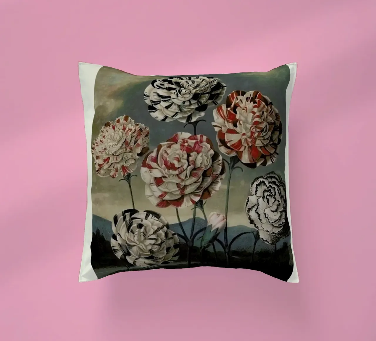 Thornton - A Group of Carnations cuscino da Vintage by JUNIQE