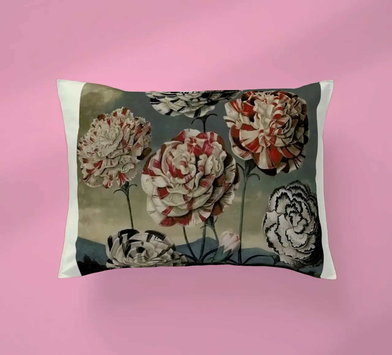 Thornton - A Group of Carnations cuscino da Vintage by JUNIQE