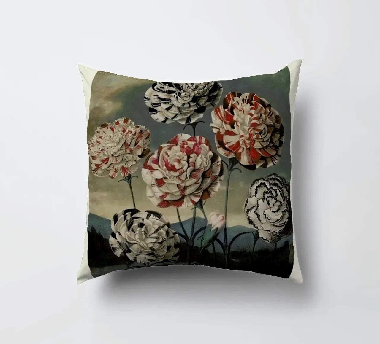Thornton - A Group of Carnations cuscino da Vintage by JUNIQE
