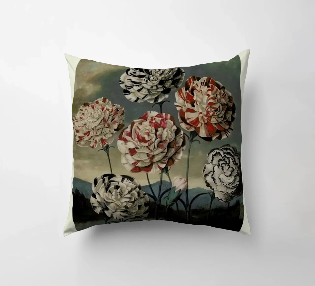 Thornton - A Group of Carnations cuscino da Vintage by JUNIQE
