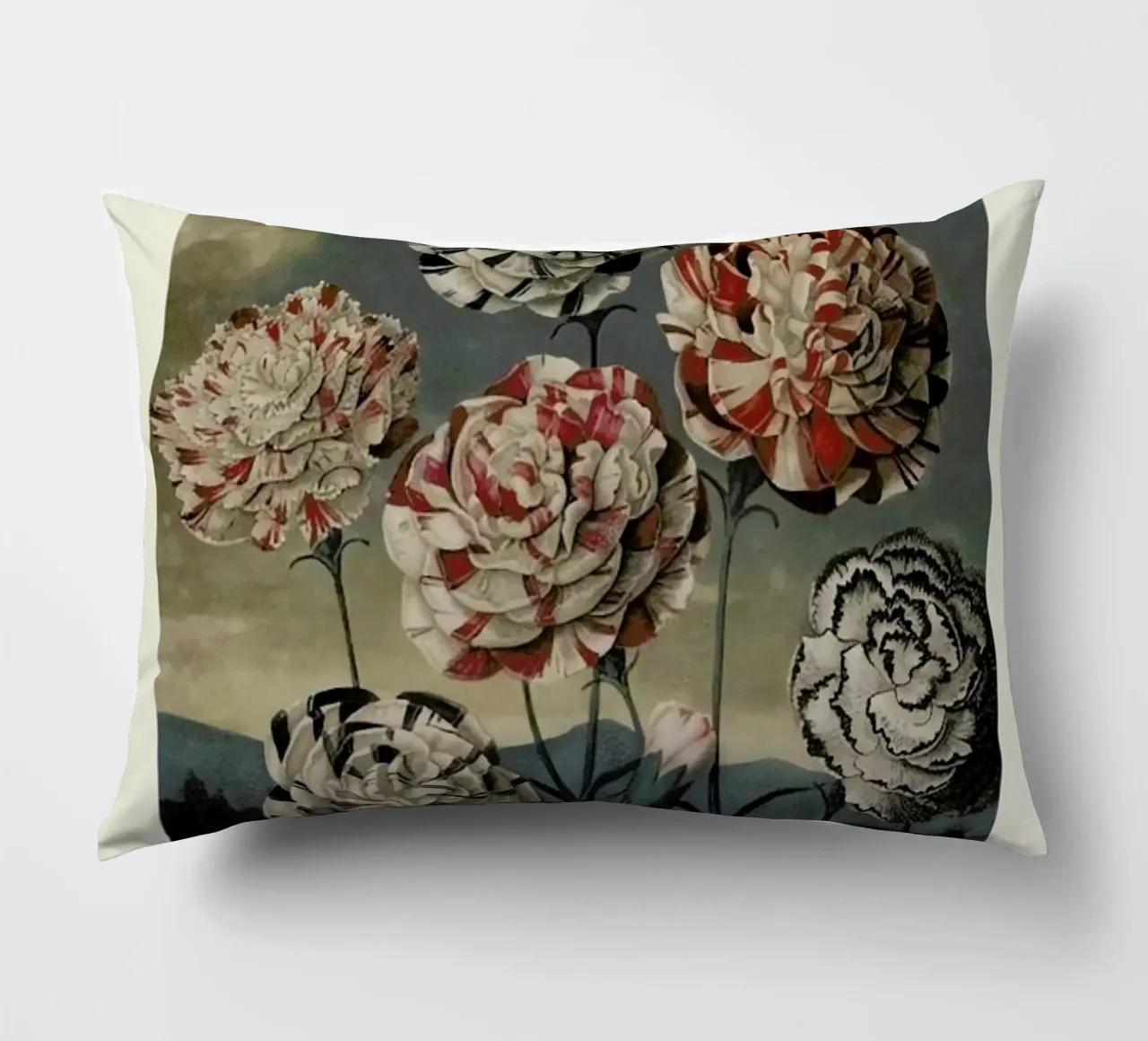 Thornton - A Group of Carnations cuscino da Vintage by JUNIQE
