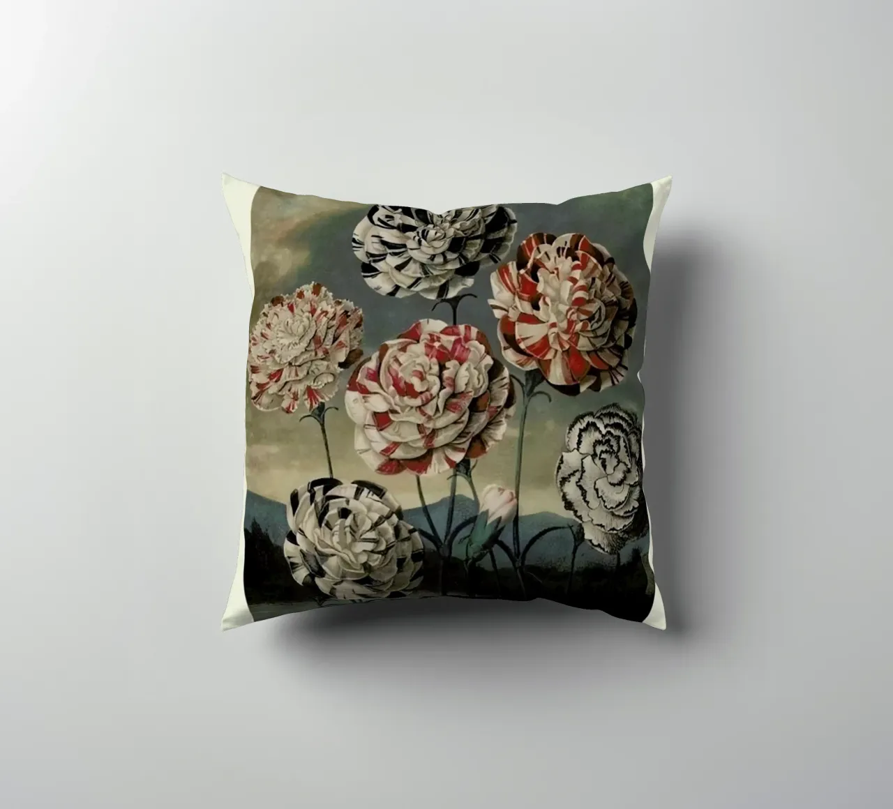 Thornton - A Group of Carnations cuscino da Vintage by JUNIQE