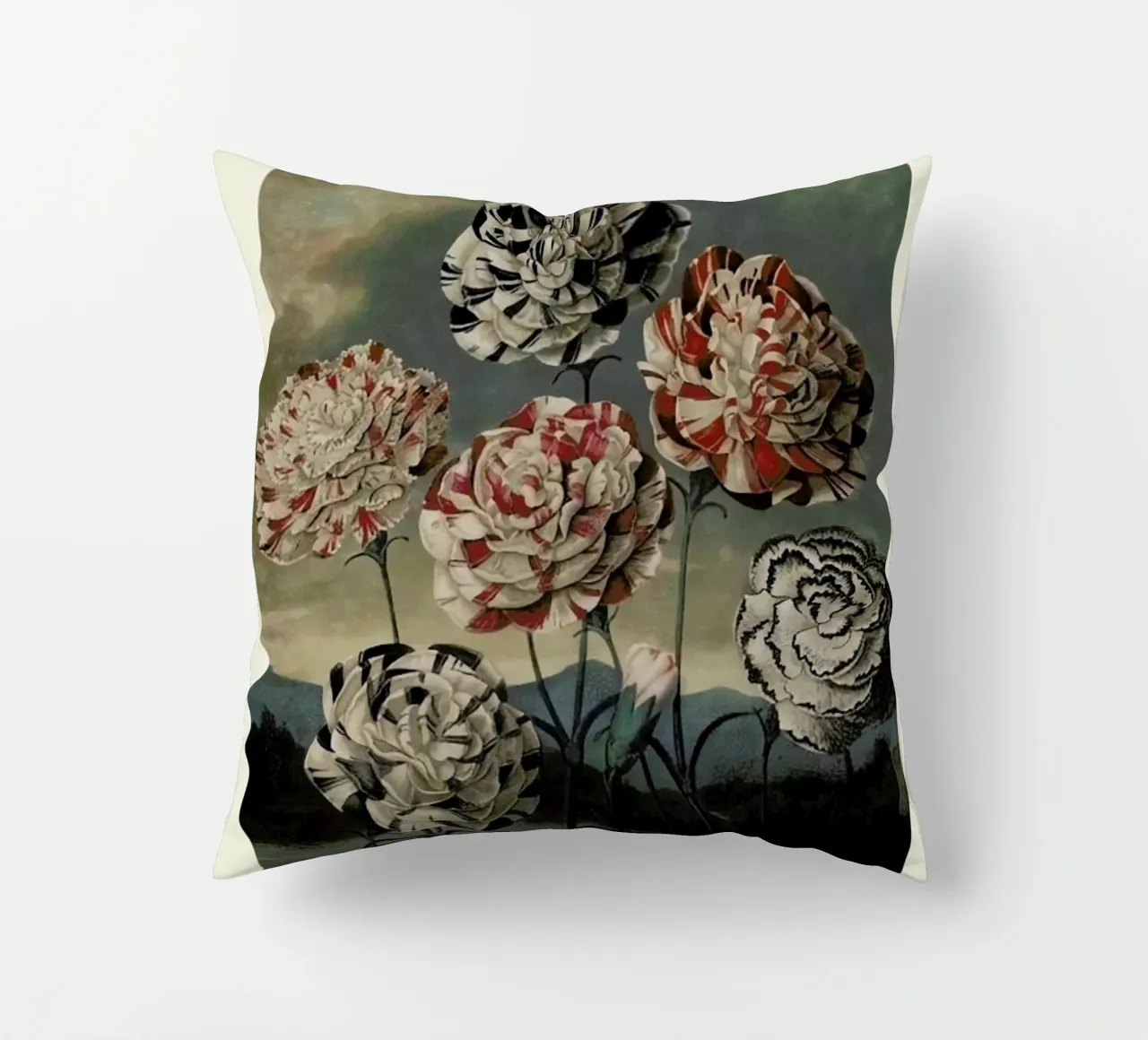 Thornton - A Group of Carnations cuscino da Vintage by JUNIQE