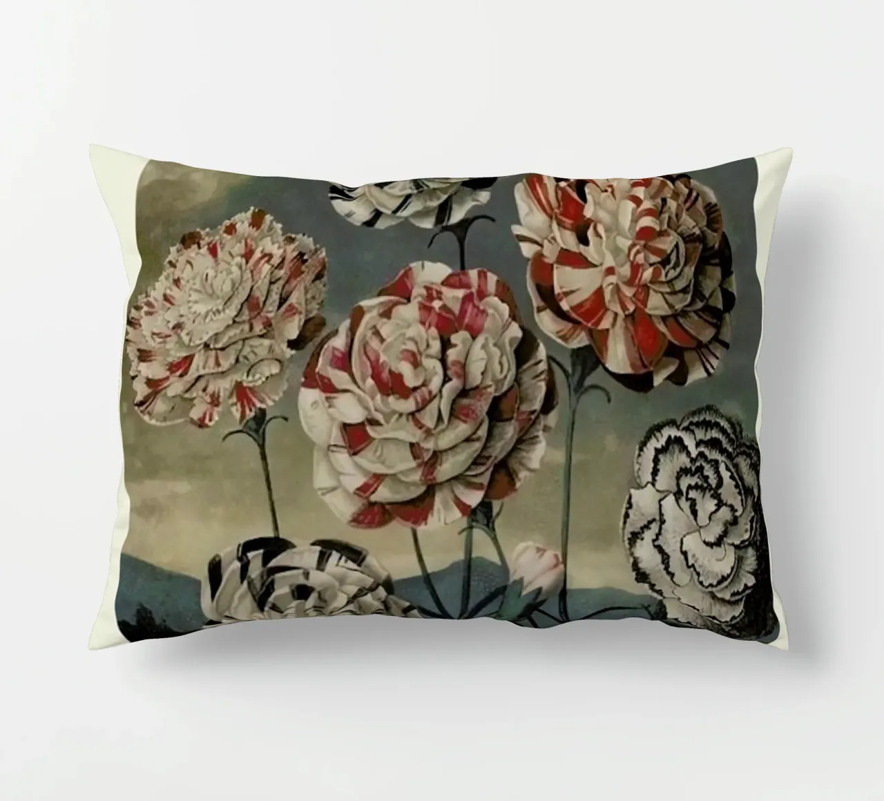 Thornton - A Group of Carnations cuscino da Vintage by JUNIQE