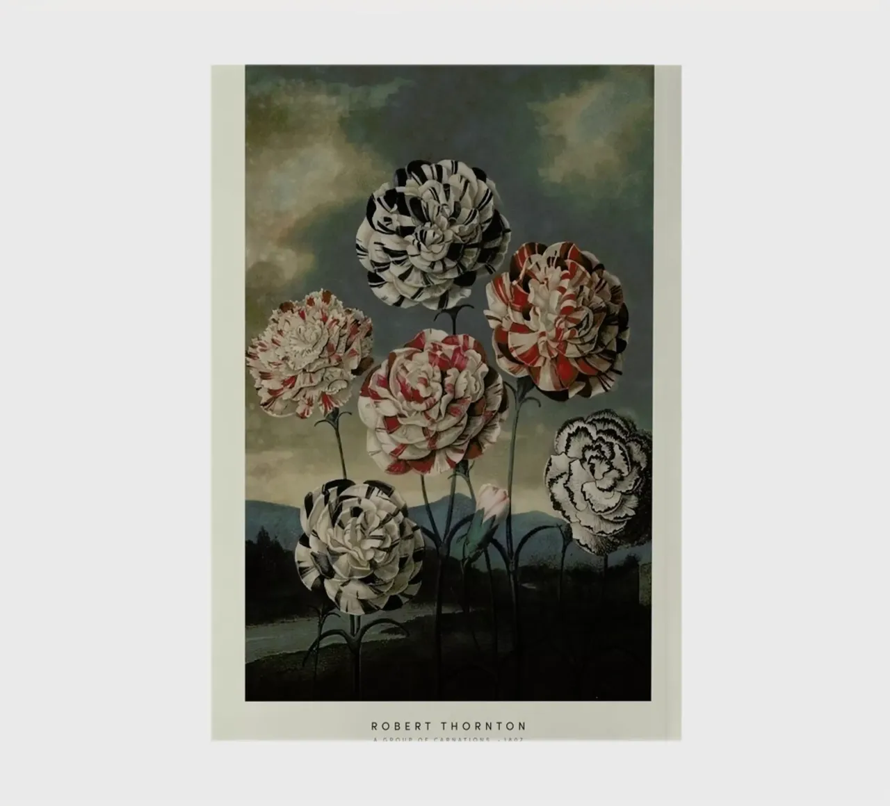 Thornton - A Group of Carnations notebook by Vintage by JUNIQE