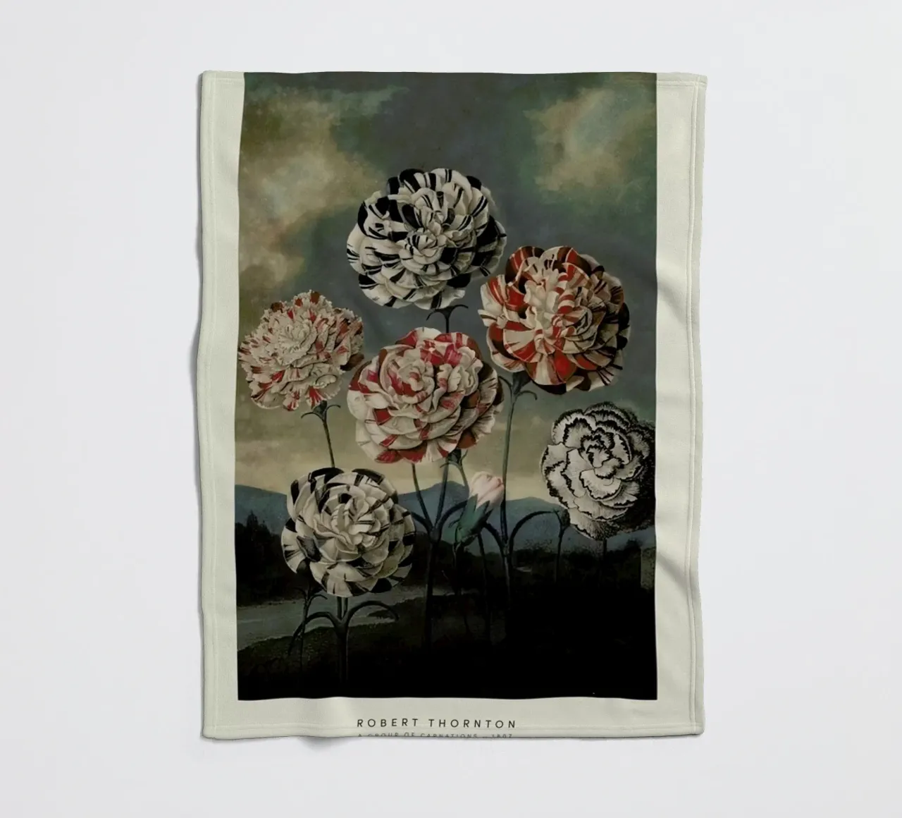 Thornton - A Group of Carnations coperta in pile da Vintage by JUNIQE
